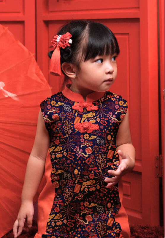 Cheongsam Dress Firework