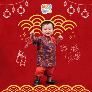 Changshan Sets Firework